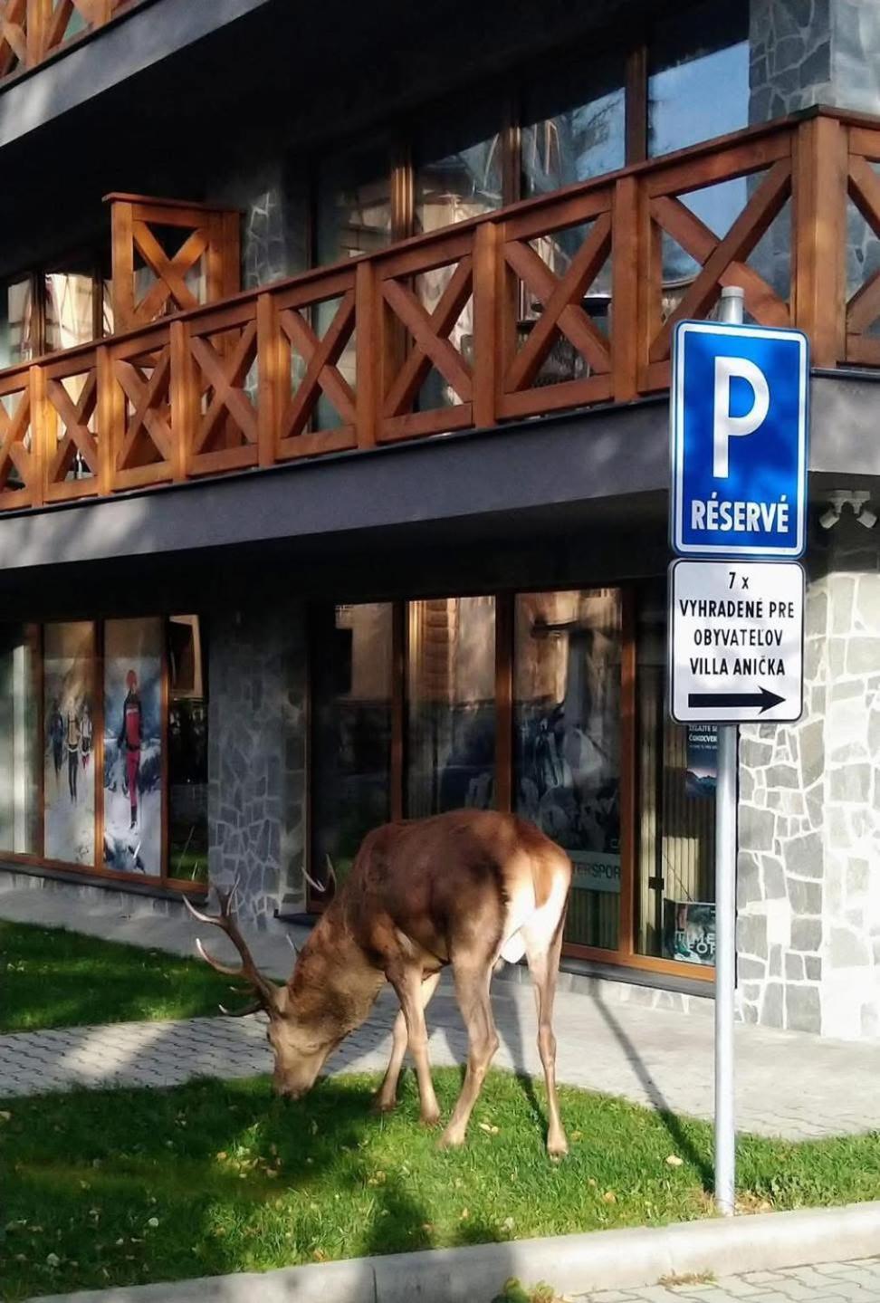 Apartmán Olaf *